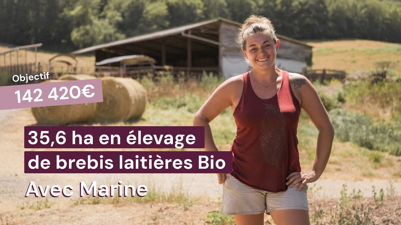 Vidéo - 35,6 ha en élevage de brebis laitières Bio - Élevage en Nouvelle-Aquitaine | Hectarea