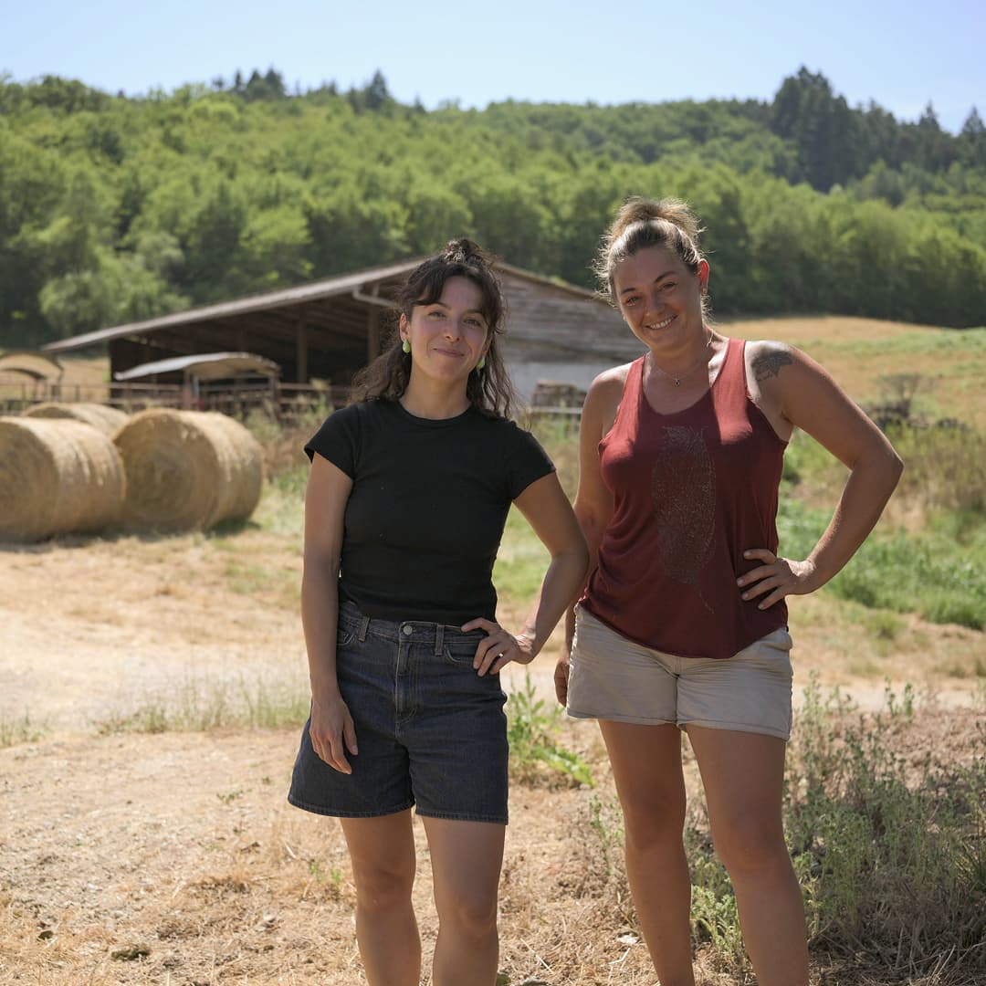 35,6 ha en élevage de brebis laitières Bio - Élevage en Nouvelle-Aquitaine | Hectarea - 3