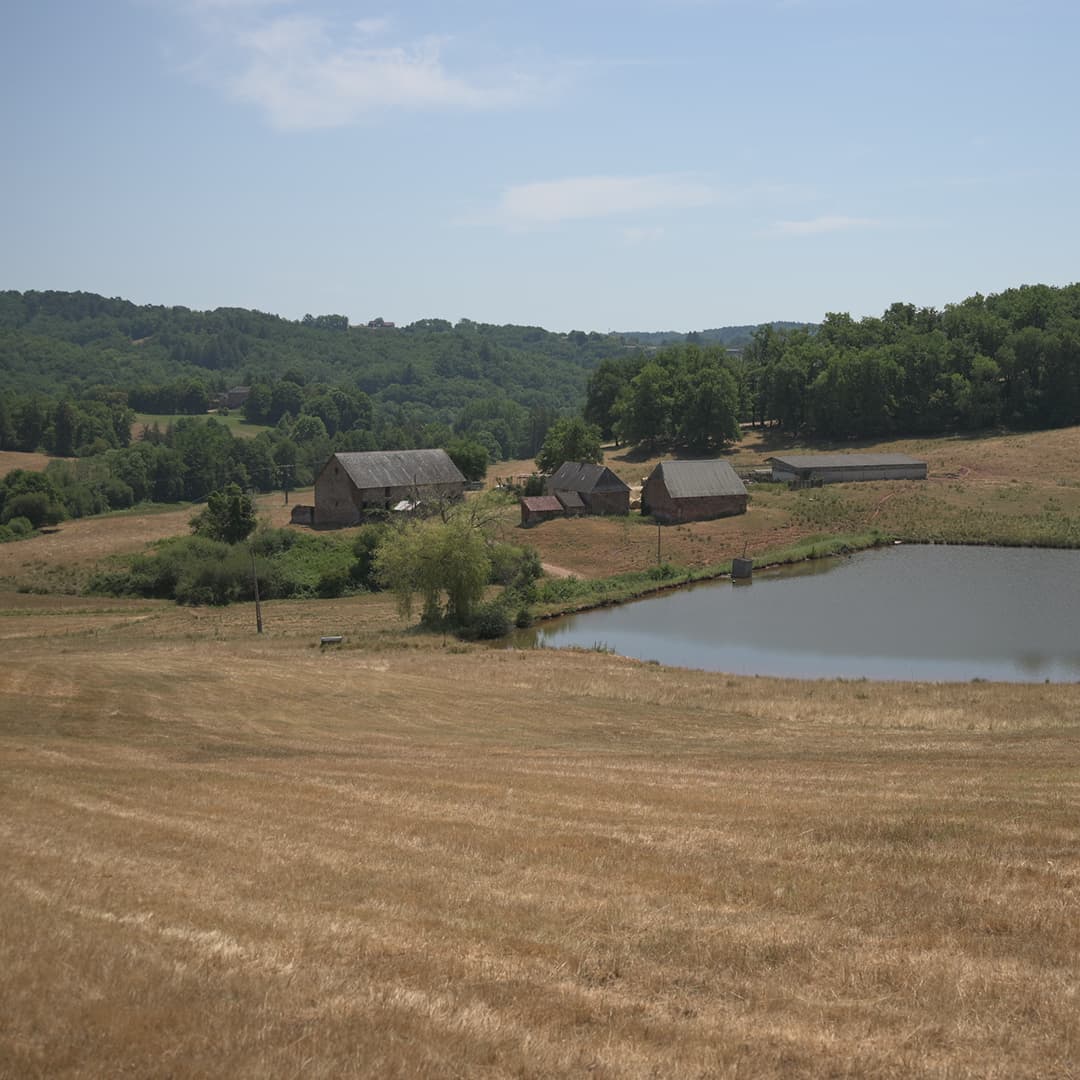 35,6 ha en élevage de brebis laitières Bio - Élevage en Nouvelle-Aquitaine | Hectarea - 5