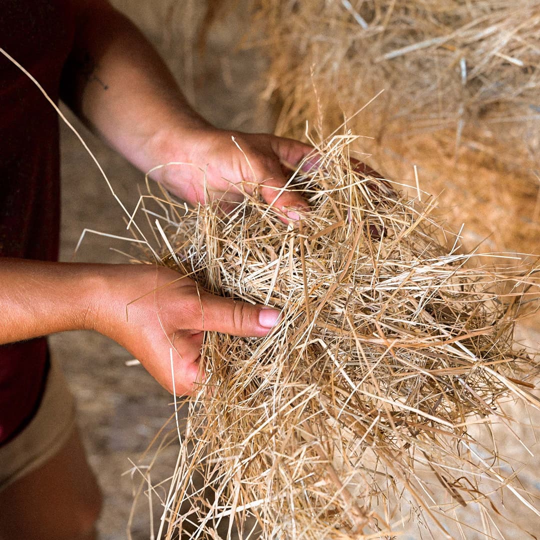 35,6 ha en élevage de brebis laitières Bio - photo 10