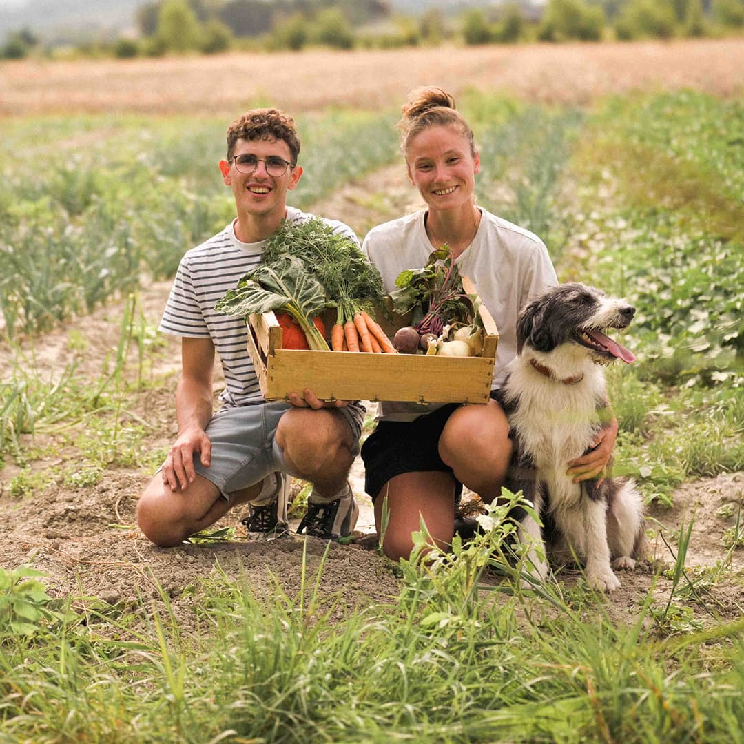 7,56 ha en maraîchage BIO - Maraîchage en PACA | Hectarea - 1