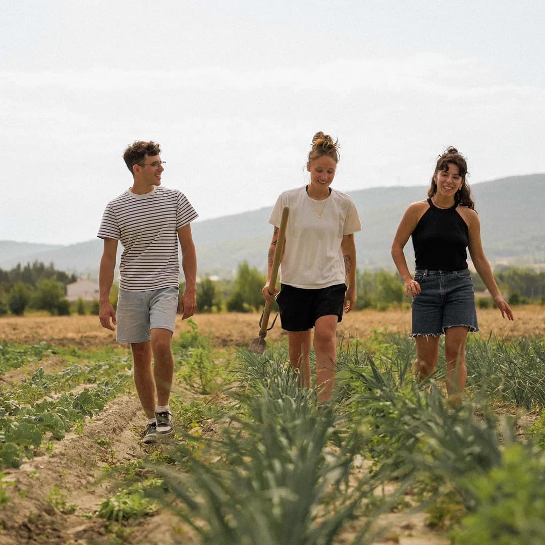 7,56 ha en maraîchage BIO - Maraîchage en PACA | Hectarea - 8