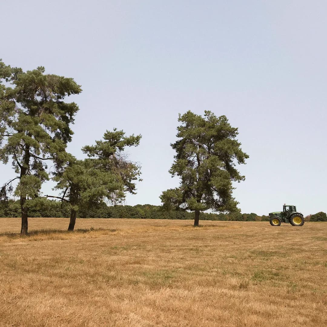 24 ha en élevage de Limousines - prairies naturelles - Élevage en Normandie | Hectarea - 4