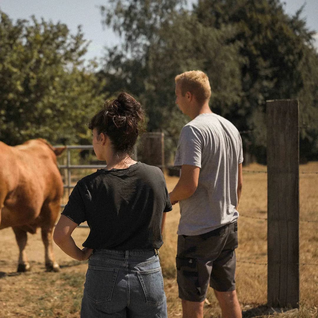 24 ha en élevage de Limousines - prairies naturelles - Élevage en Normandie | Hectarea - 8