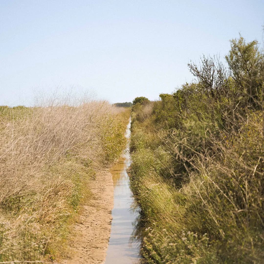 35,9 ha en élevage de blondes d'Aquitaine - prairies biologiques - Élevage en Nouvelle-Aquitaine | Hectarea - 7