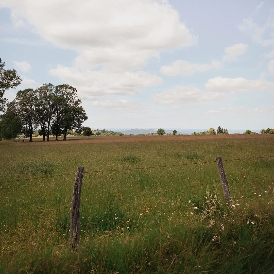 9,22 ha en élevage de vaches
laitières - Cantal & Salers AOP - 6