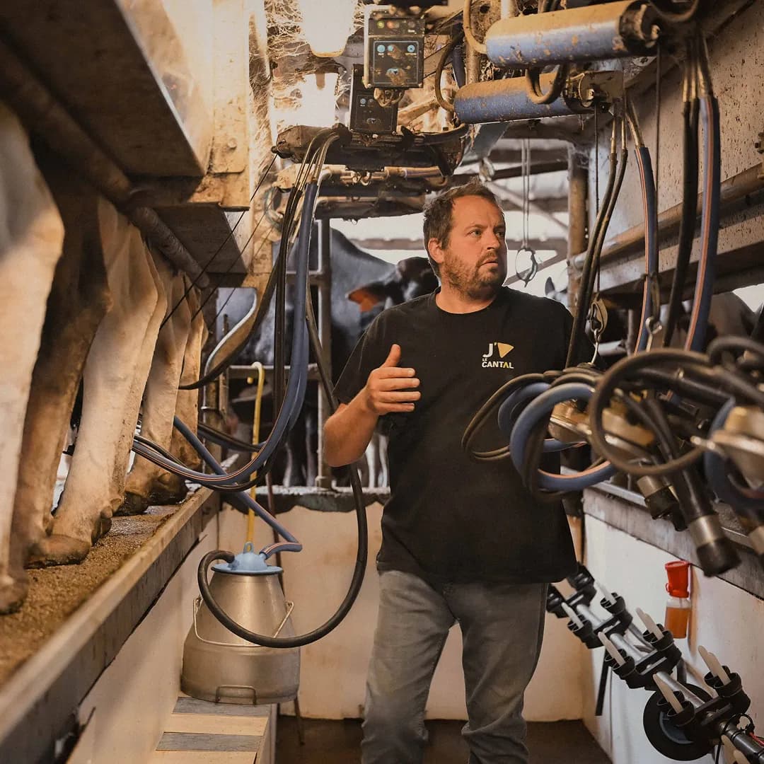 9,22 ha en élevage de vaches
laitières - Cantal & Salers AOP - 7