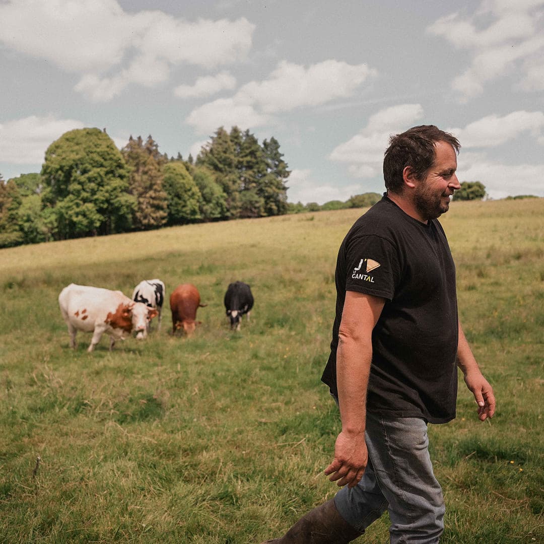 9,22 ha en élevage de vaches
laitières - Cantal & Salers AOP - photo 9