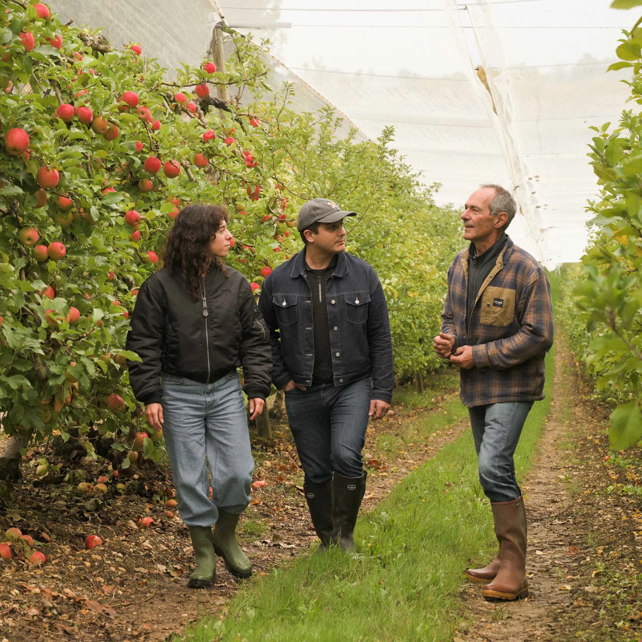 22,8 ha de vergers - Pommes et prunes d’Ente - Arboriculture en Nouvelle-Aquitaine | Hectarea - 4