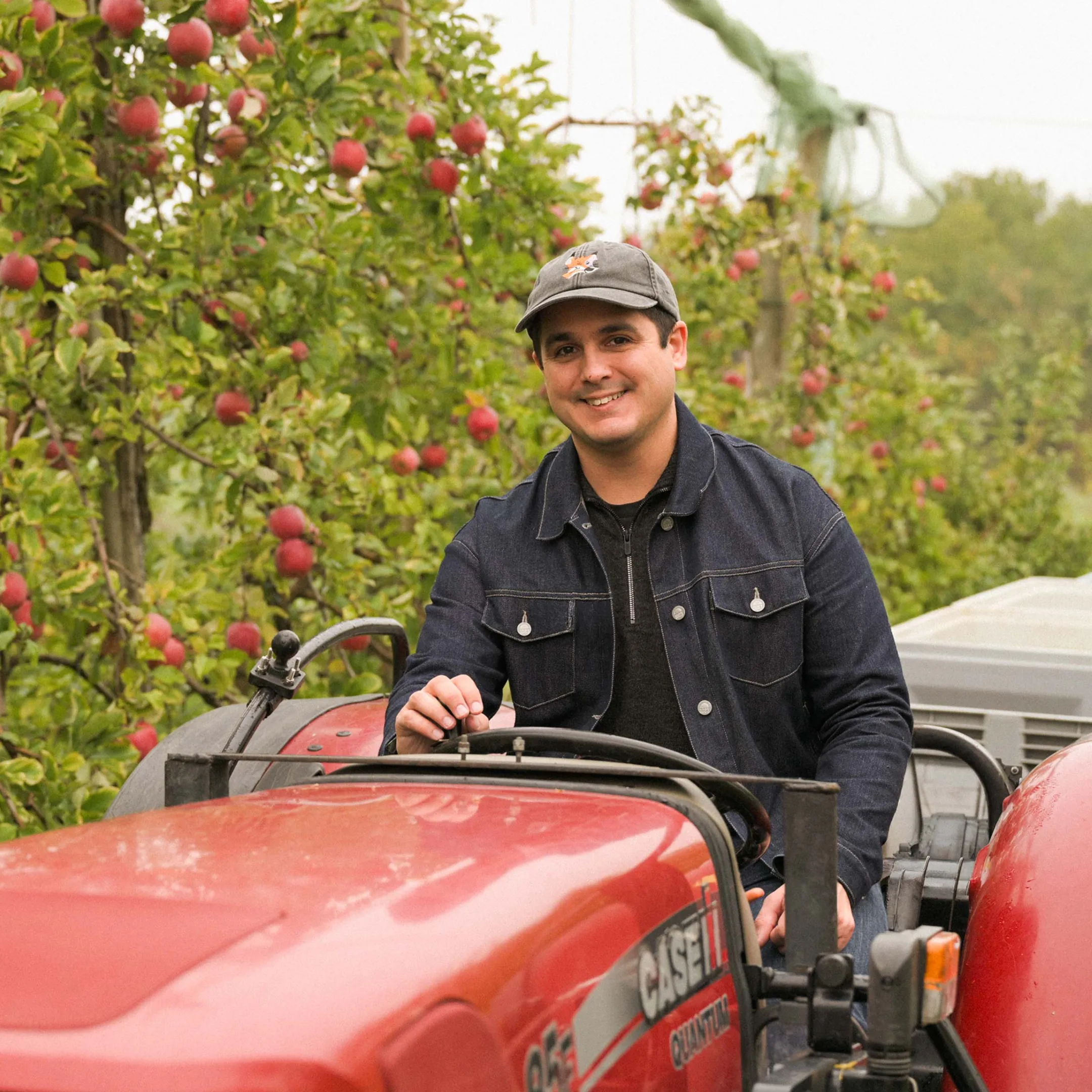 22,8 ha de vergers - Pommes et prunes d’Ente - Arboriculture en Nouvelle-Aquitaine | Hectarea - 7