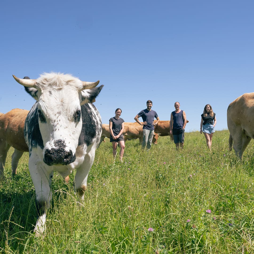 12 ha en polyculture et élevage de Limousines - photo 10