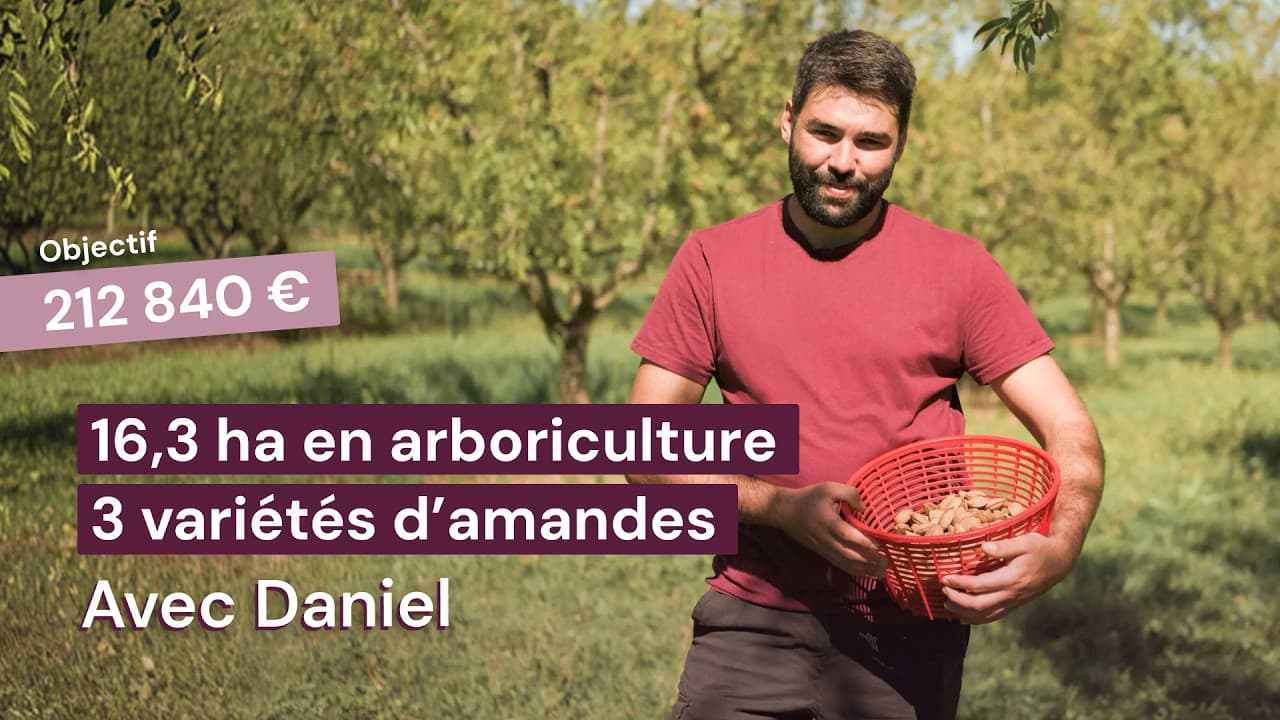 Vidéo - 16,3 ha en arboriculture - 3 variétés d’amandes